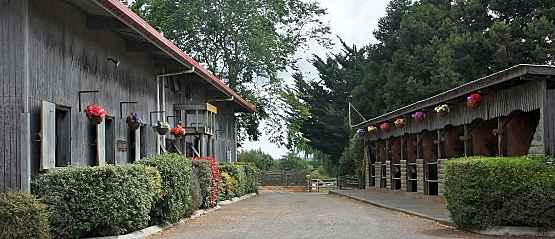 Equine Training Facilities